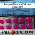 Leopard Miracle Of Honey Instructions 35